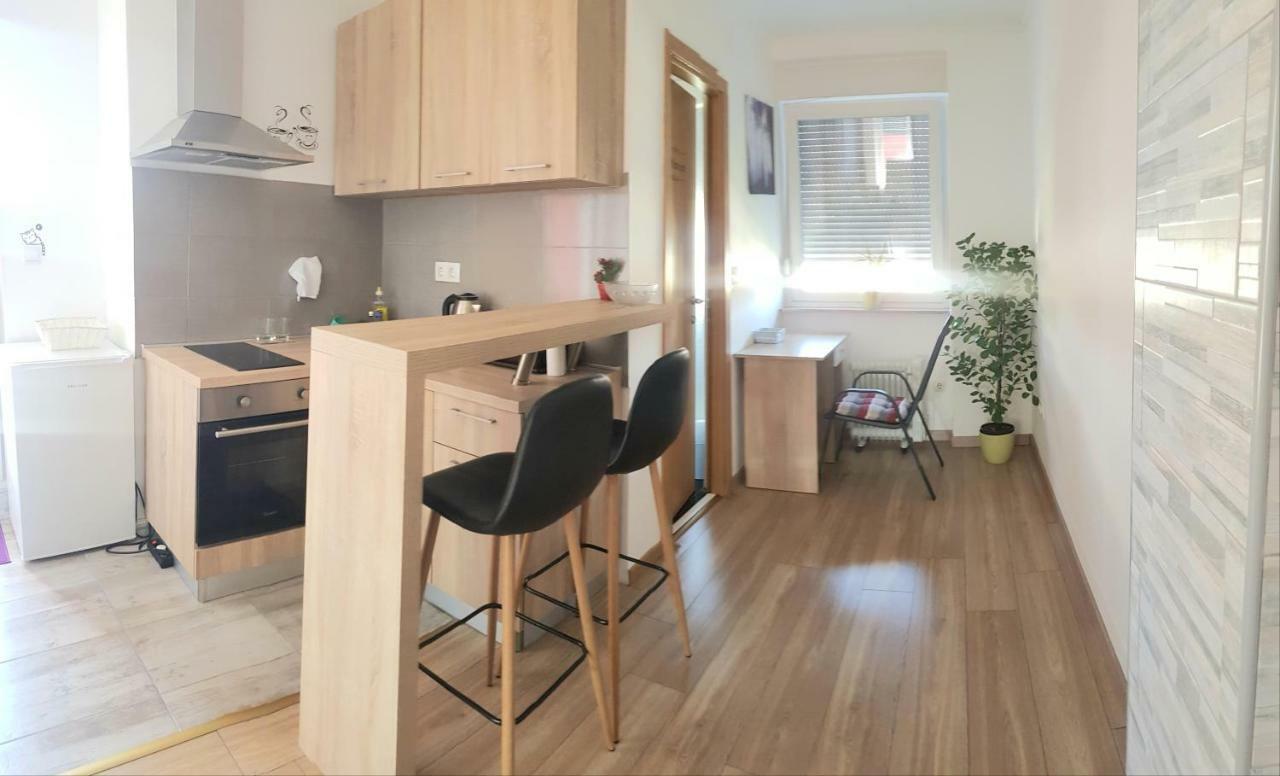 Penthouse Spudic Karlovac Apartamento Exterior foto